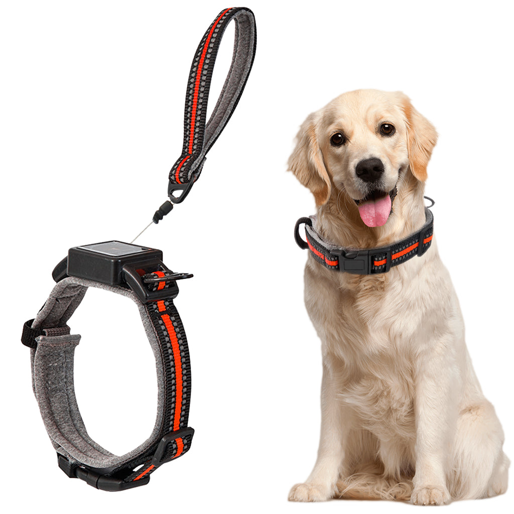 Qpets Dog Collar 2 in 1 Adjustable Dog Collar with 1.5 Meters Retractable Pull Handle Intergrated Dog Leash Dog Collar Night Safety Reflective Dog Collar for Small Medium Dog, Suitable for 10-25kg Qpets Dog Collar 2 in 1 Adjustable Dog Collar with 1.5 Meters Retractable Pull Handle Intergrated Dog Leash Dog Collar Night Safety Reflective Dog Collar for Small Medium Dog, Suitable for 10-25kg